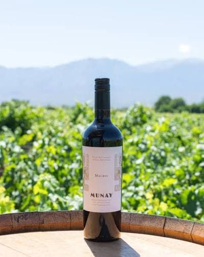 A bottle of Munay Malbec standing on a wine barrel with the green Cafayate vineyard and mountains behind