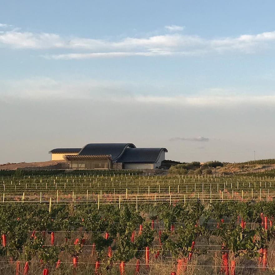 The curved-roof Bodega Patritti winery on a low rise above its vineyards at San Patricio del Chañar, Neuquén