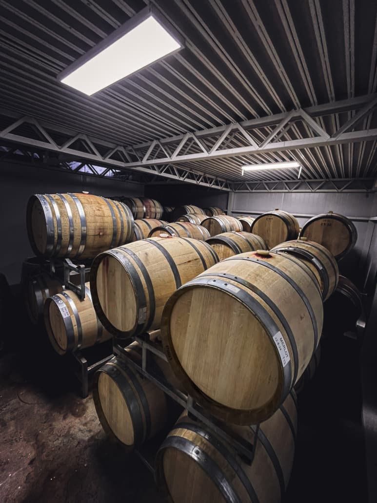 French oak barrels stacked in the Bodega Patritti cellar under skylights